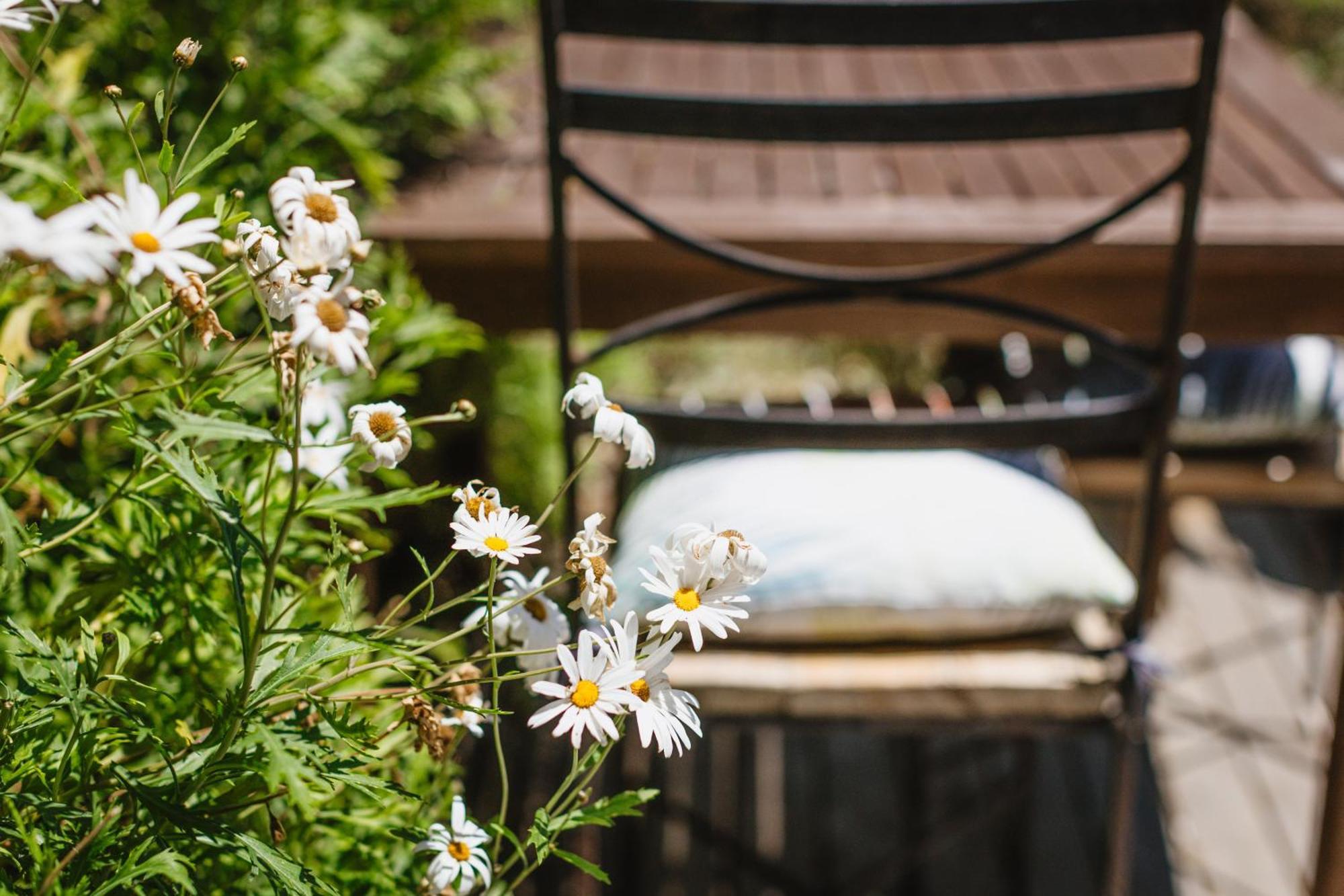 Haumoana Herb Cottage Экстерьер фото